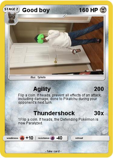 Pokemon Good boy