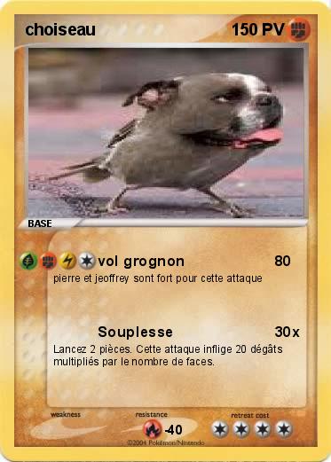 Pokemon choiseau