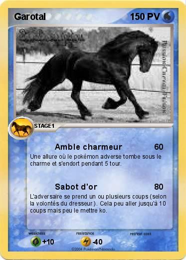 Pokemon Garotal