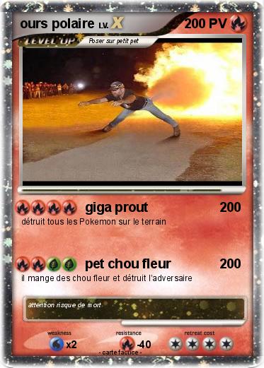 Pokemon ours polaire