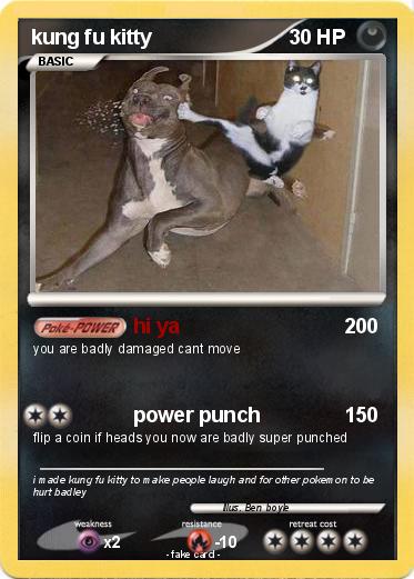 Pokemon kung fu kitty