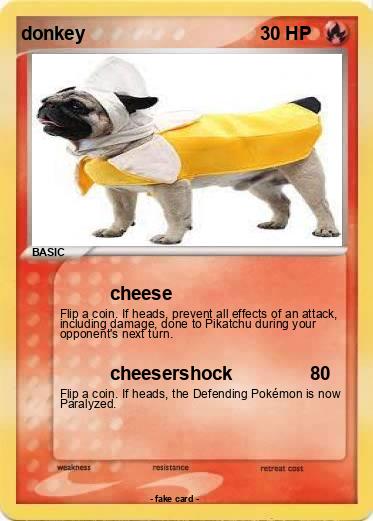 Pokemon donkey