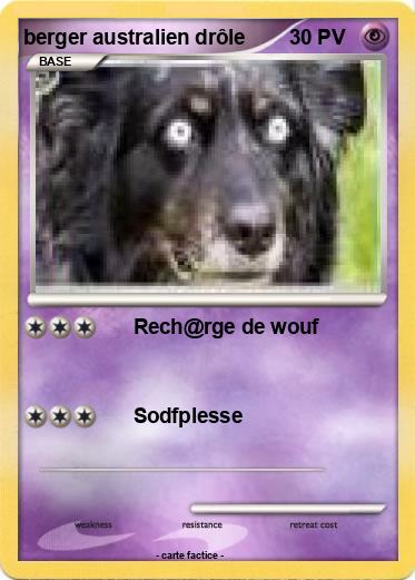 Pokemon berger australien drôle