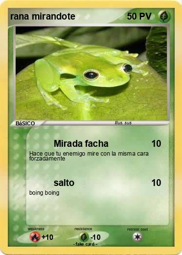 Pokemon rana mirandote