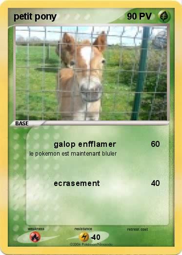 Pokemon petit pony