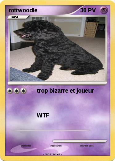 Pokemon rottwoodle