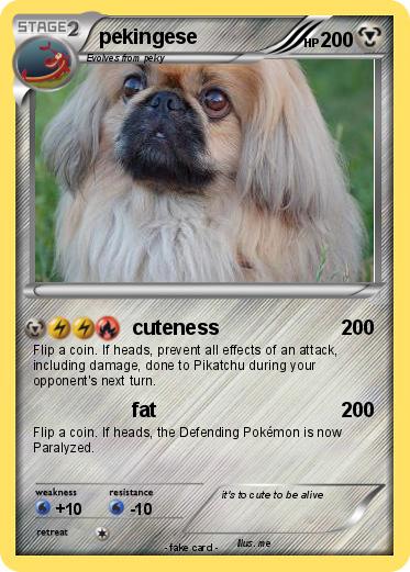Pokemon pekingese