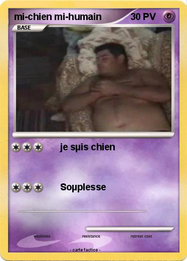 Pokemon mi-chien mi-humain