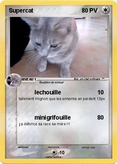 Pokemon Supercat