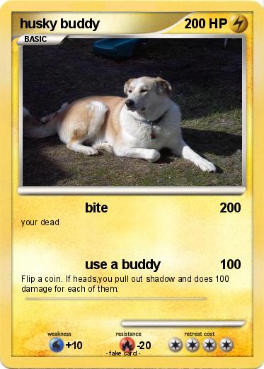 Pokemon husky buddy