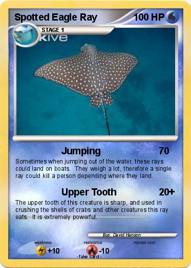 Pokemon Spotted Eagle Ray