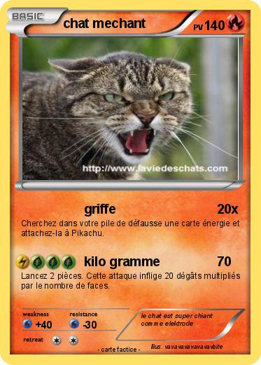 Pokemon chat mechant