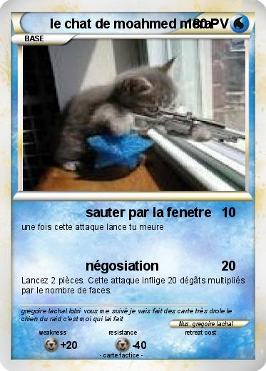 Pokemon le chat de moahmed mera