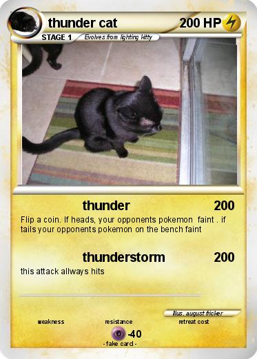 Pokemon thunder cat
