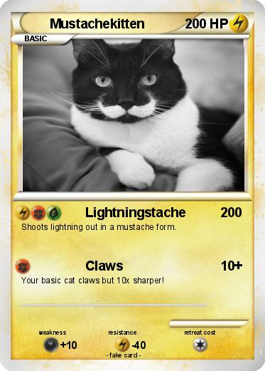 Pokemon Mustachekitten