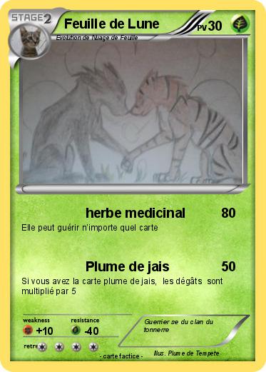 Pokemon Feuille de Lune