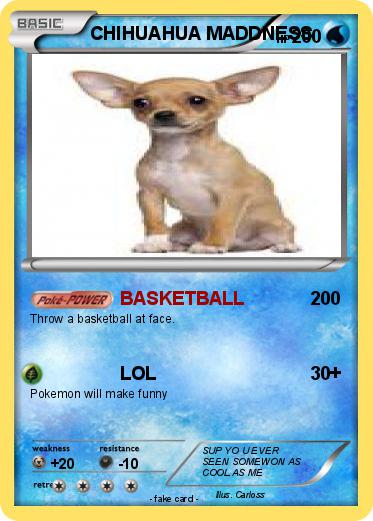 Pokemon CHIHUAHUA MADDNESS