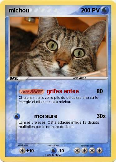 Pokemon michou