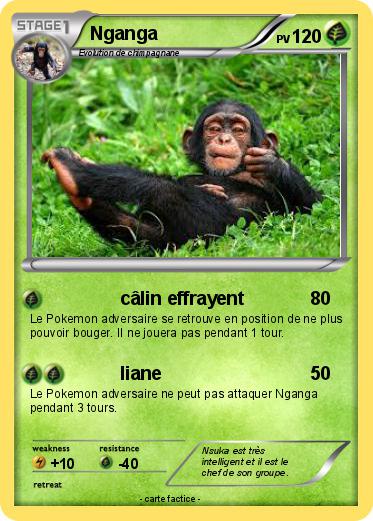 Pokemon Nganga