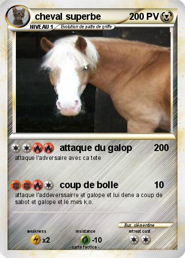 Pokemon cheval superbe