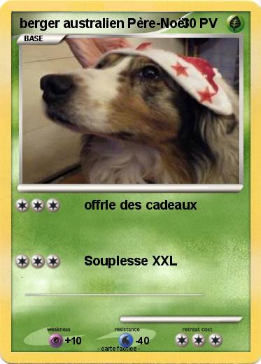 Pokemon berger australien Père-Noël