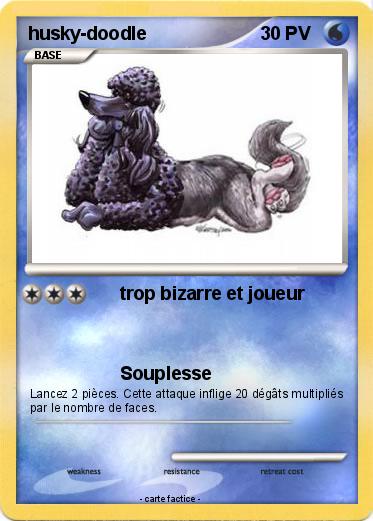 Pokemon husky-doodle