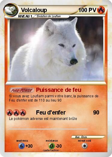 Pokemon Volcaloup