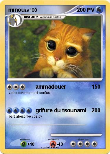 Pokemon minou