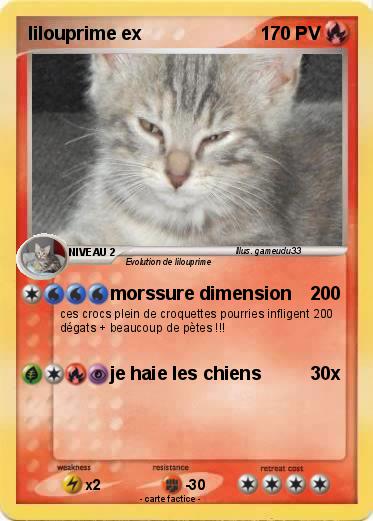 Pokemon lilouprime ex