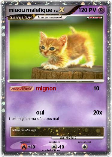Pokemon miaou malefique