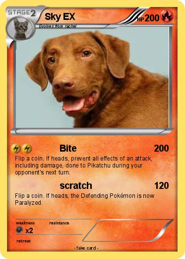 Pokemon Sky EX
