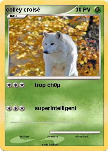 Pokemon colley croisé