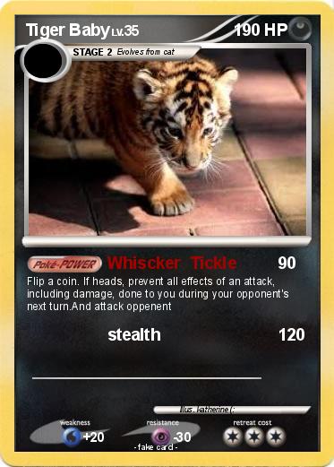 Pokemon Tiger Baby