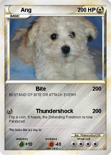 Pokemon Ang