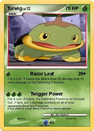 Pokemon Turwig