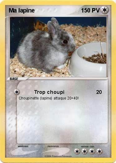 Pokemon Ma lapine