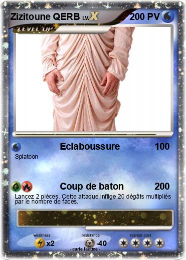 Pokemon Zizitoune QERB