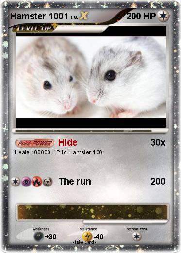 Pokemon Hamster 1001