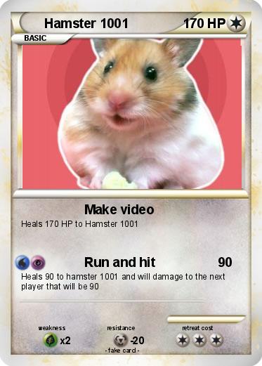Pokemon Hamster 1001