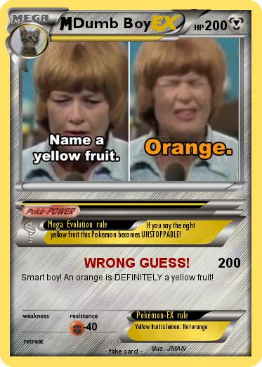 Pokemon Dumb Boy