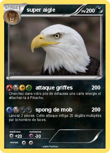 Pokemon super aigle