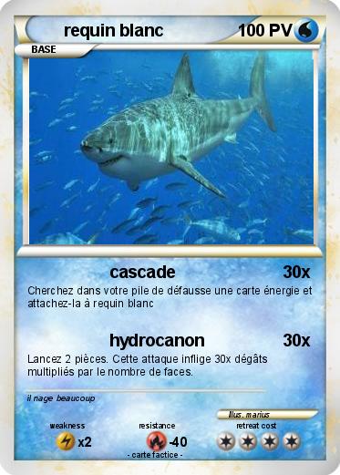 Pokemon requin blanc