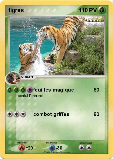 Pokemon tigres