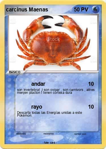 Pokemon carcinus Maenas