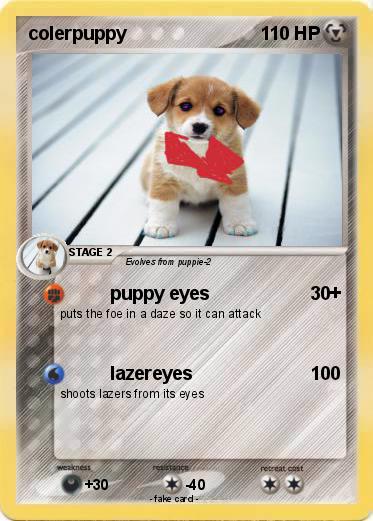 Pokemon colerpuppy