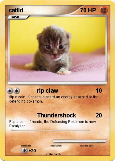 Pokemon catild