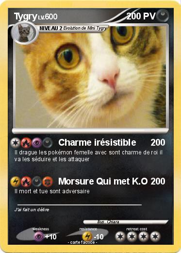Pokemon Tygry