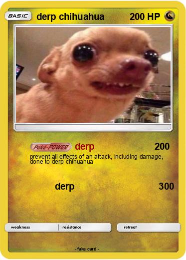Pokemon derp chihuahua