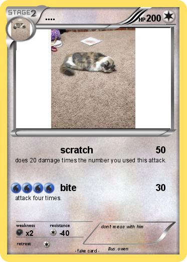 Pokemon ....