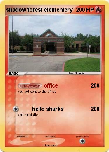 Pokemon shadow forest elementery